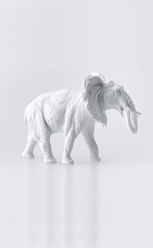 Category Box Image